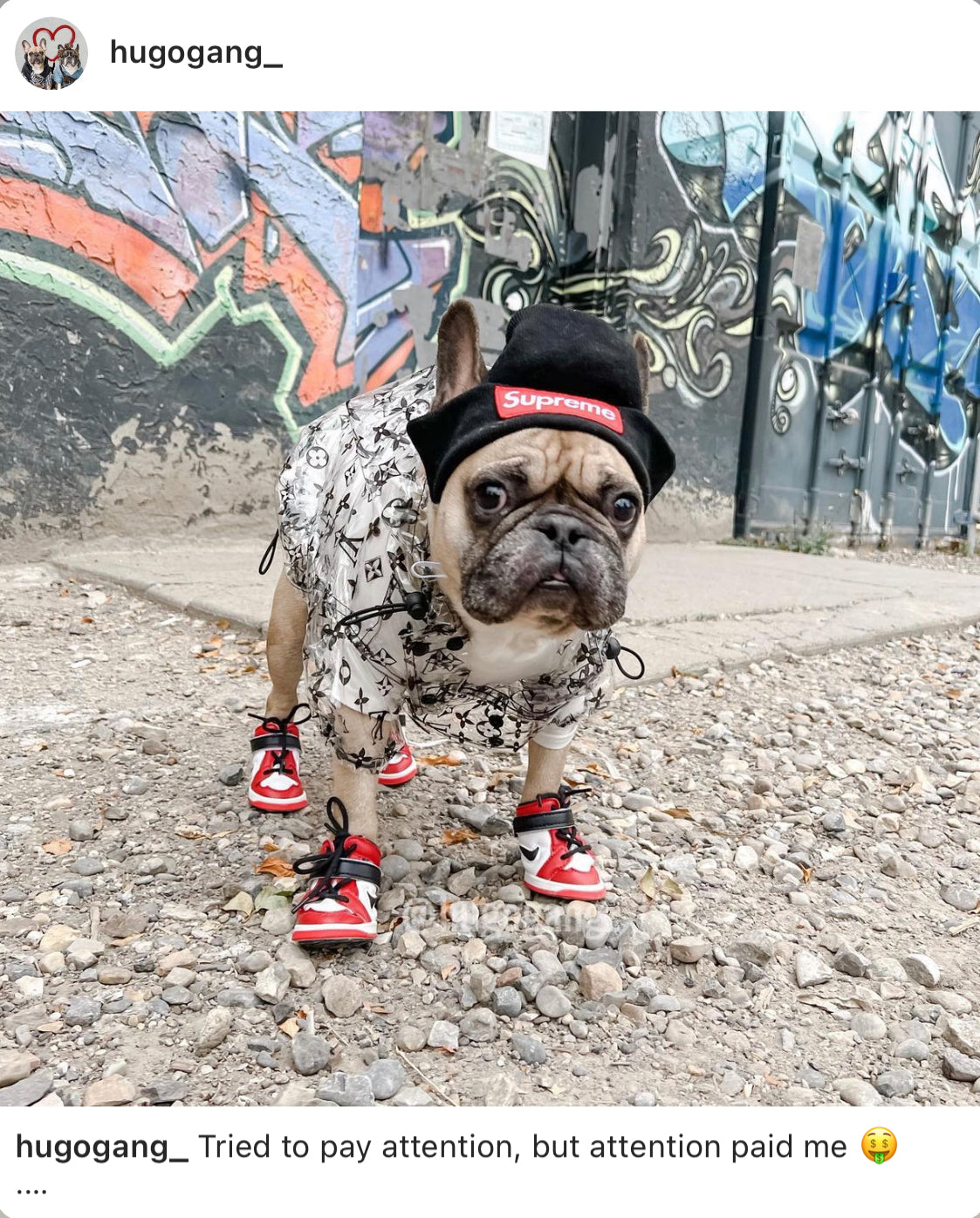 image_22da03d7-8c5c-4e61-ad0a-53109f7fdbdf