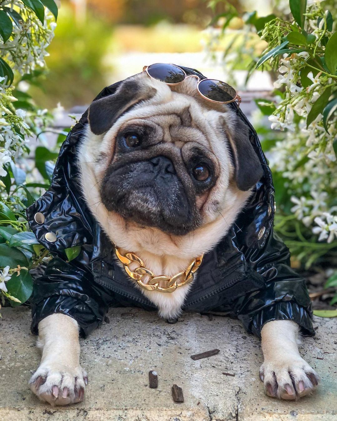 image_27249b93-20ca-4b69-9ca0-f55cc039dbe6