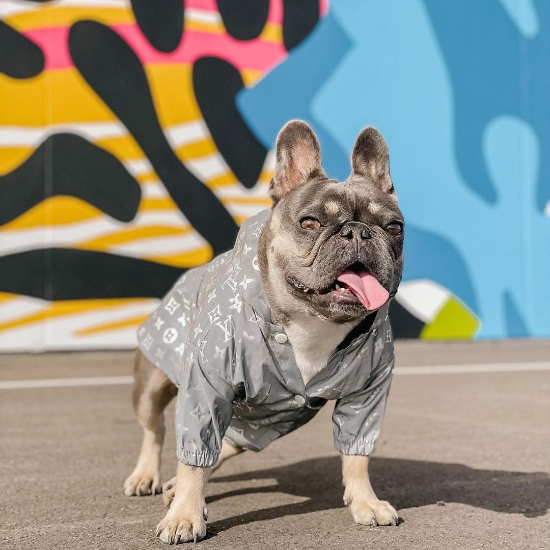 image_3080f95a-3f76-403c-a423-d5baf9915d83