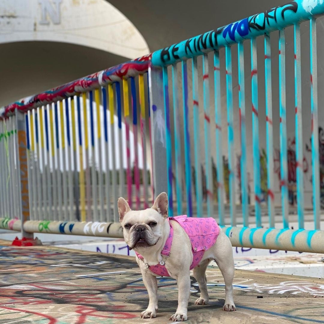 image_30fba22d-691a-4747-bd17-3b708bd6cba8