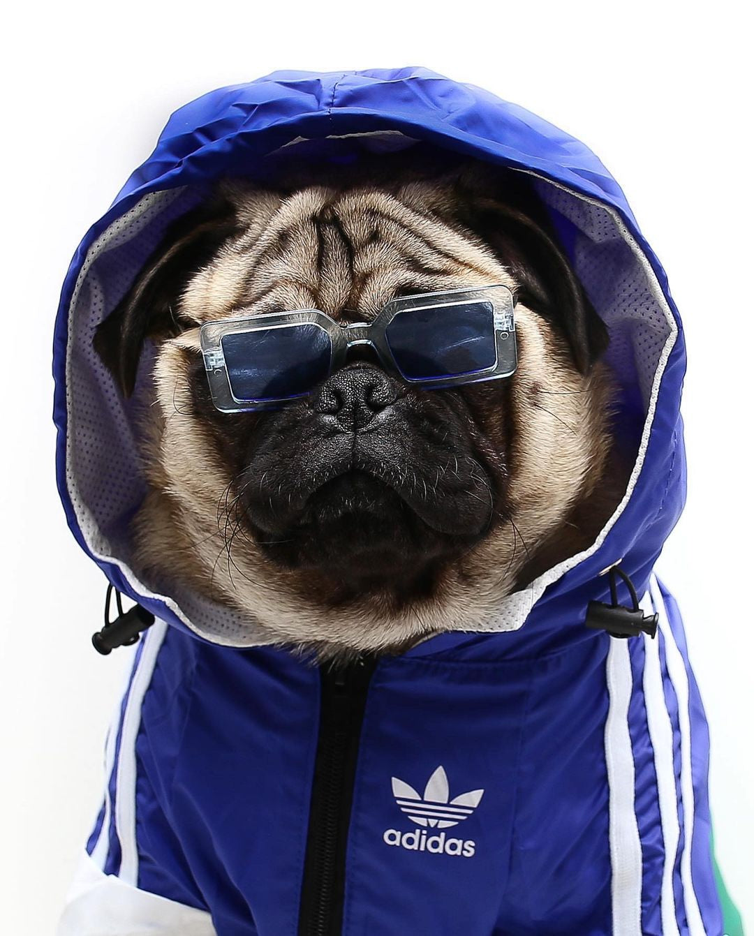 image_34e0ab00-d019-442d-a2e0-01307af9c195