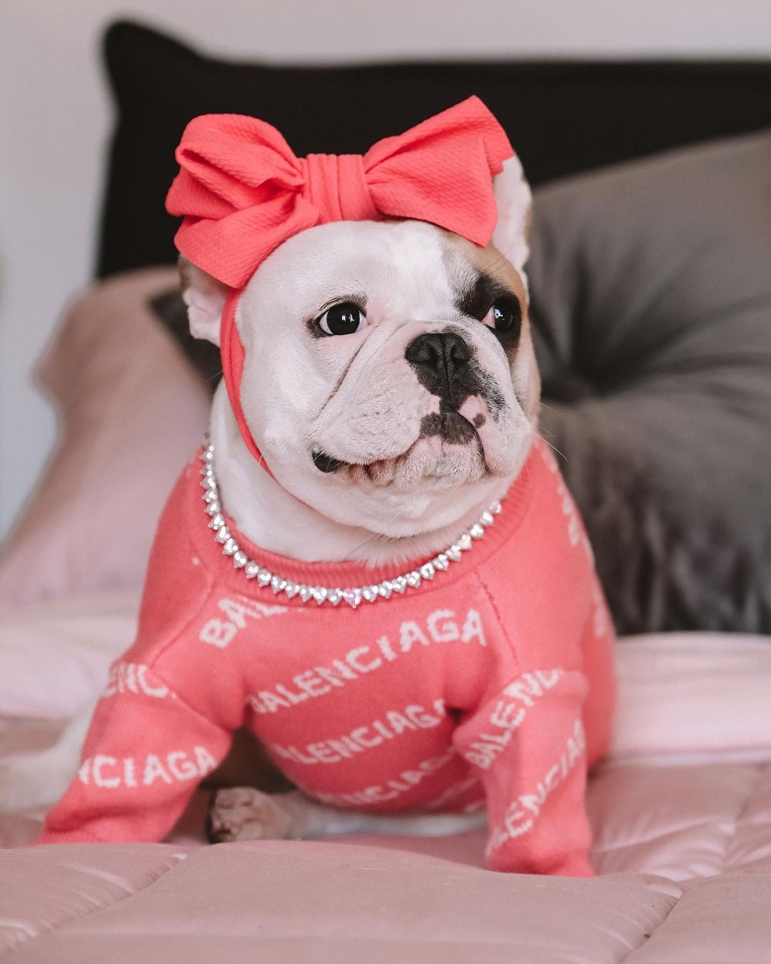 image_3775b092-3dca-4c4f-ba52-3a95e05c2652