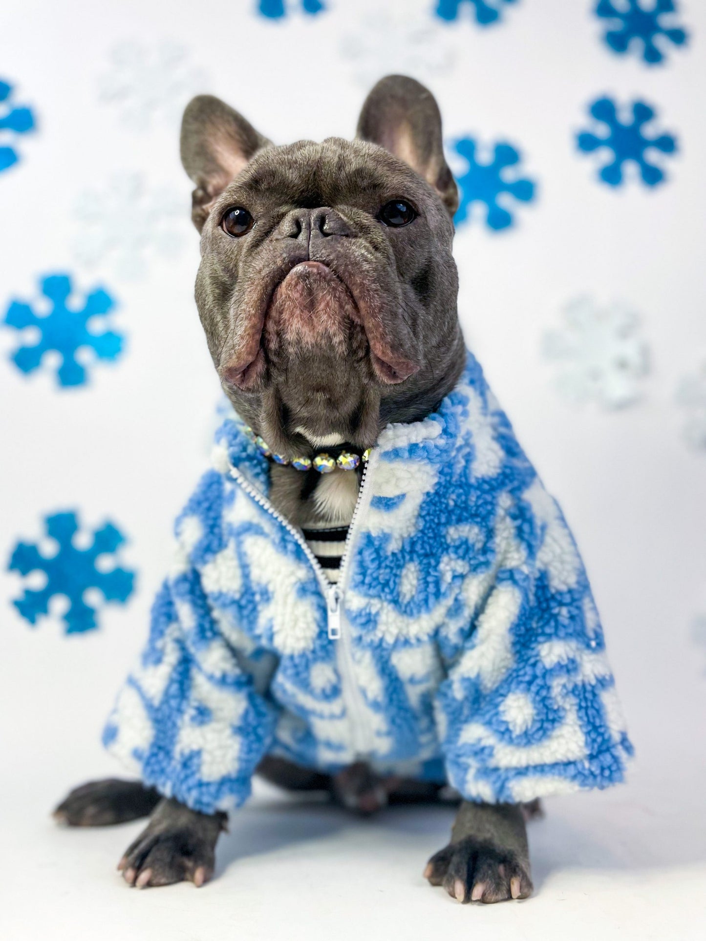 image_3815f388-a2f6-4e10-9891-f4656eeb7869