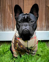 image_38501e36-12b8-45d7-8f19-58e09f52c976