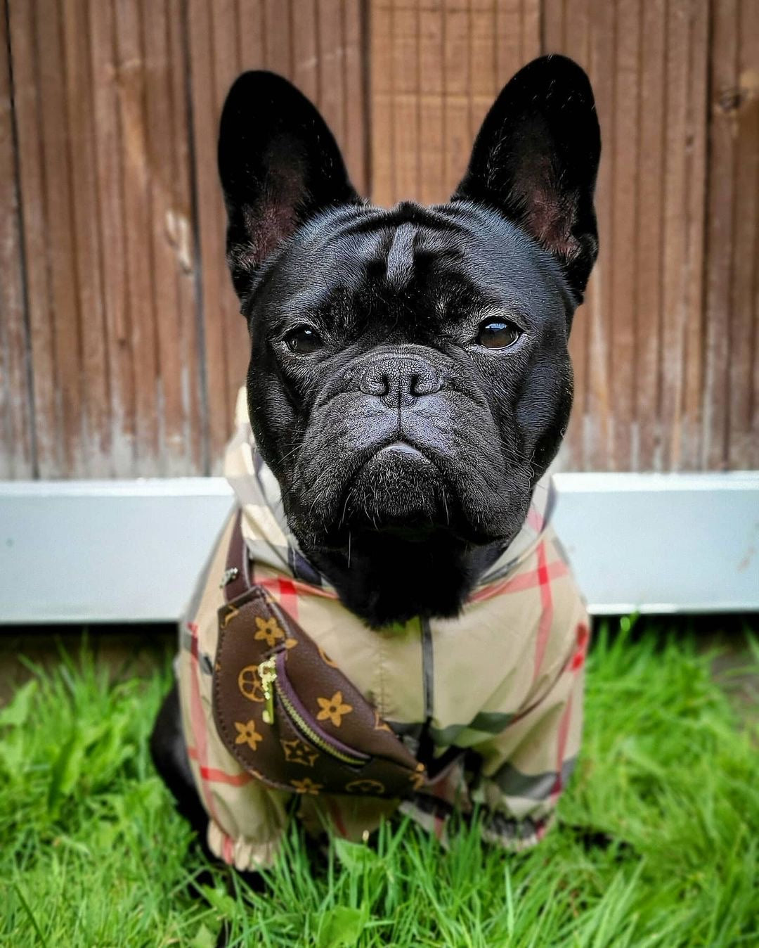 image_38501e36-12b8-45d7-8f19-58e09f52c976