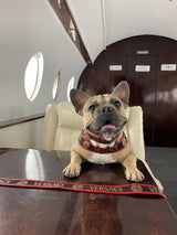 image_3b345112-6731-4c1c-b676-b439c8afe4df