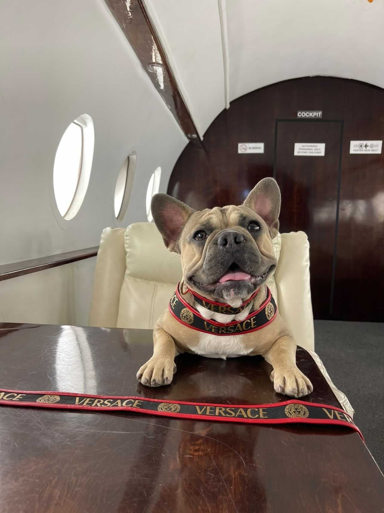 image_3b345112-6731-4c1c-b676-b439c8afe4df