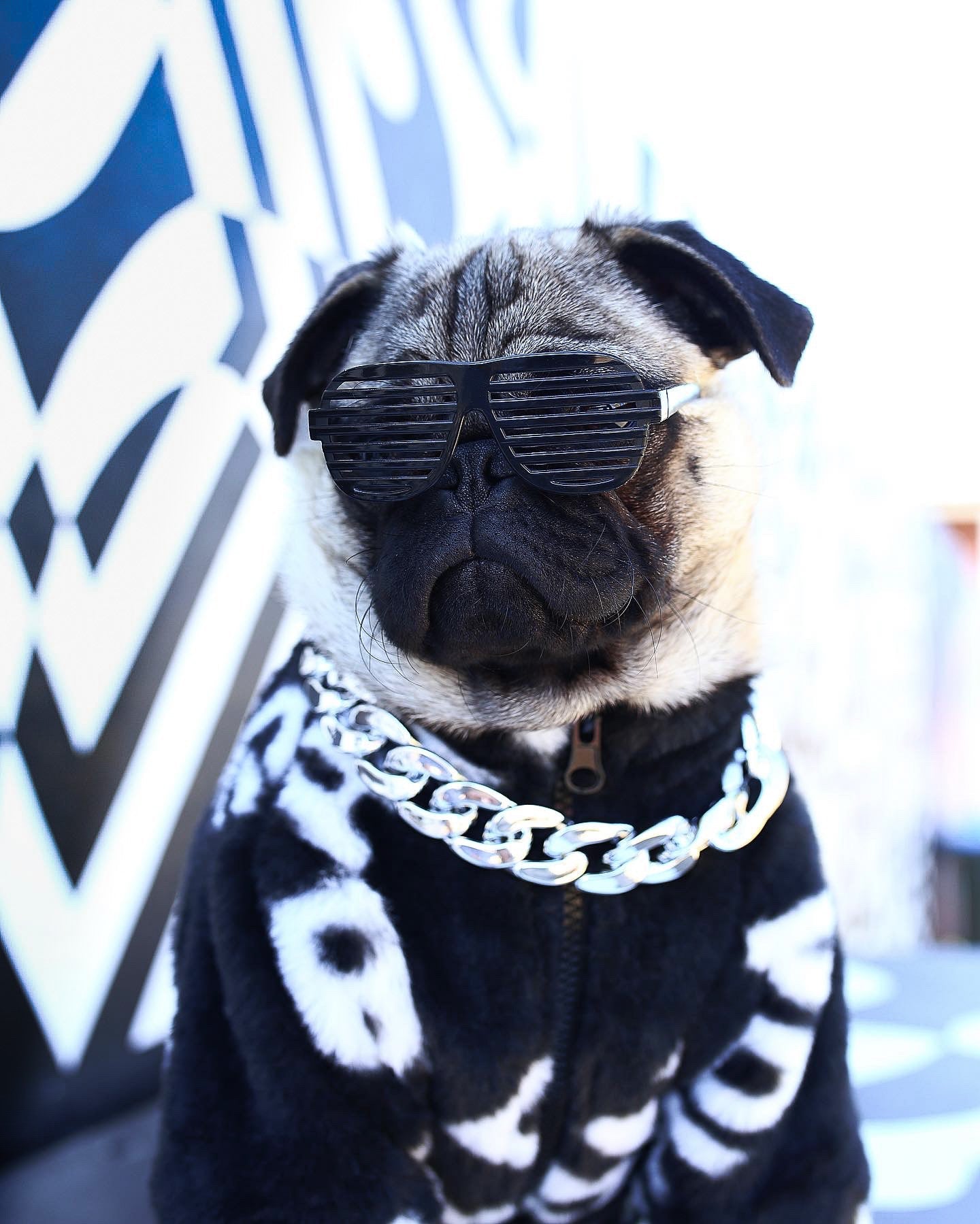 image_41b2c2ec-1527-4da9-b258-661c47bdaa07