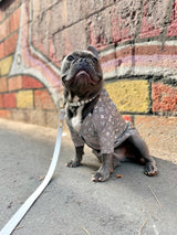 image_44dd2f3b-7845-4f3a-93ef-d709998169c1