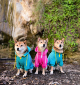 image_58dae8c4-37e6-4ec2-9f0f-9a8096a58ab9