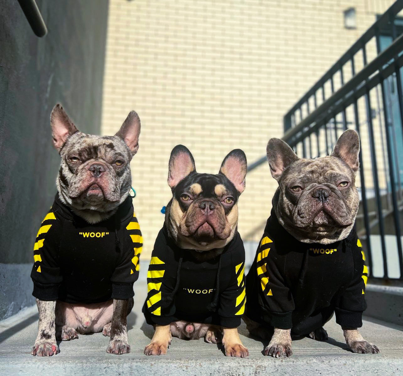 image_5b00b11b-4e85-4bd3-a623-b4ebcdc22c07