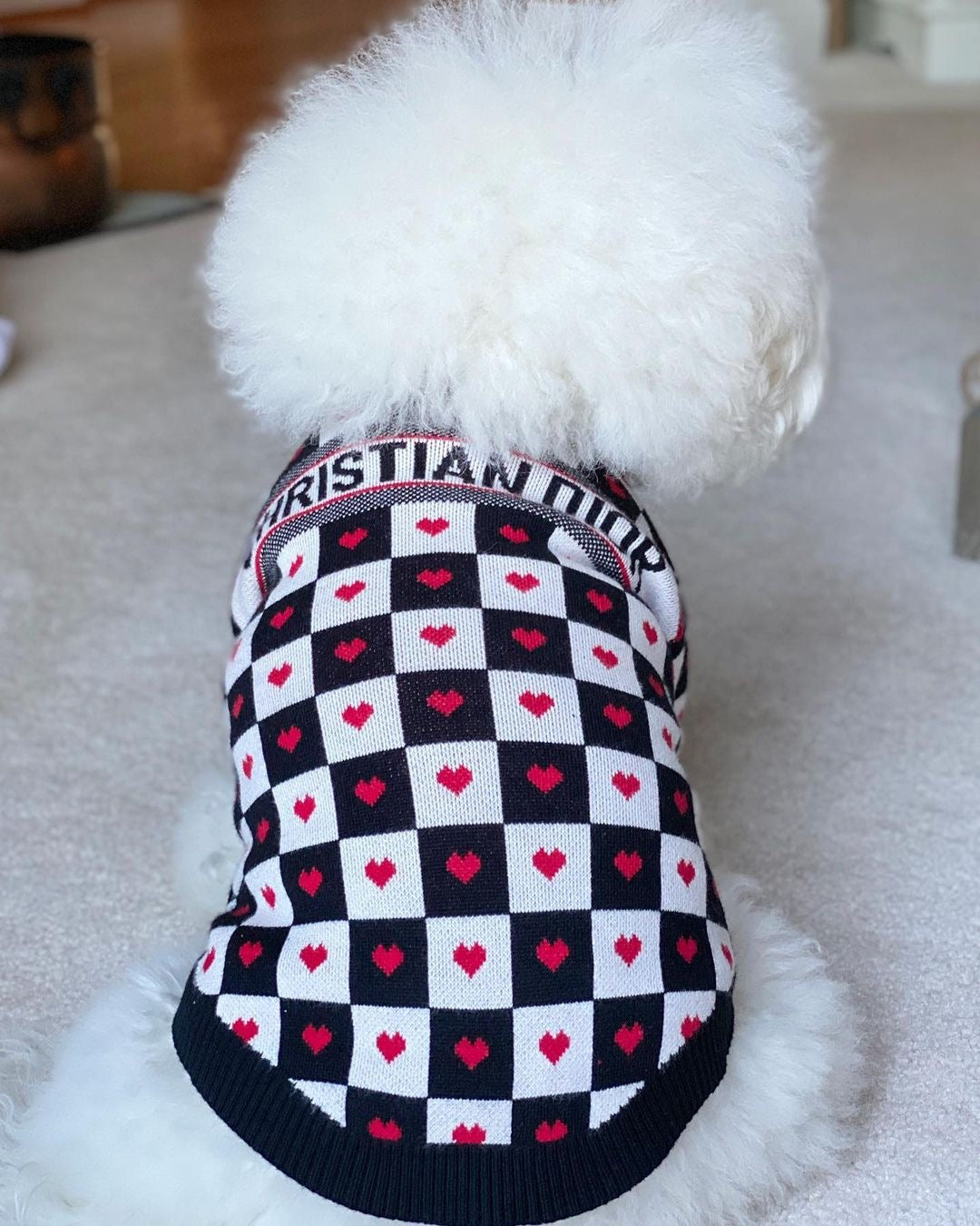 image_5dd3996c-aa88-44bf-b74b-4db5b0ffa010