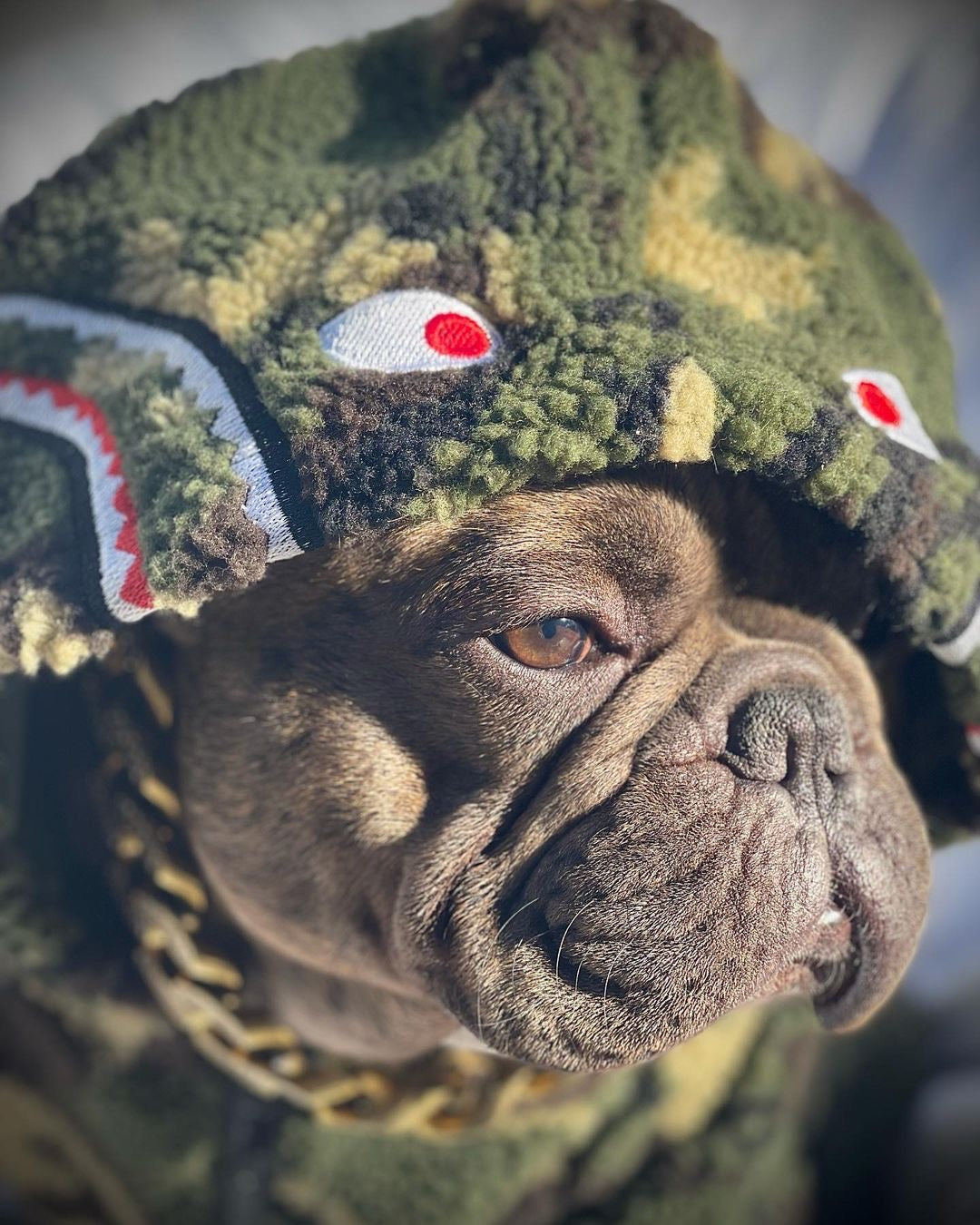 image_5dde811f-aea8-4f0c-b11f-4a8ffde366d6