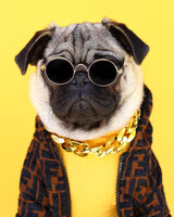 image_5fd49cce-c2d6-4aa4-88ab-034c658088c6