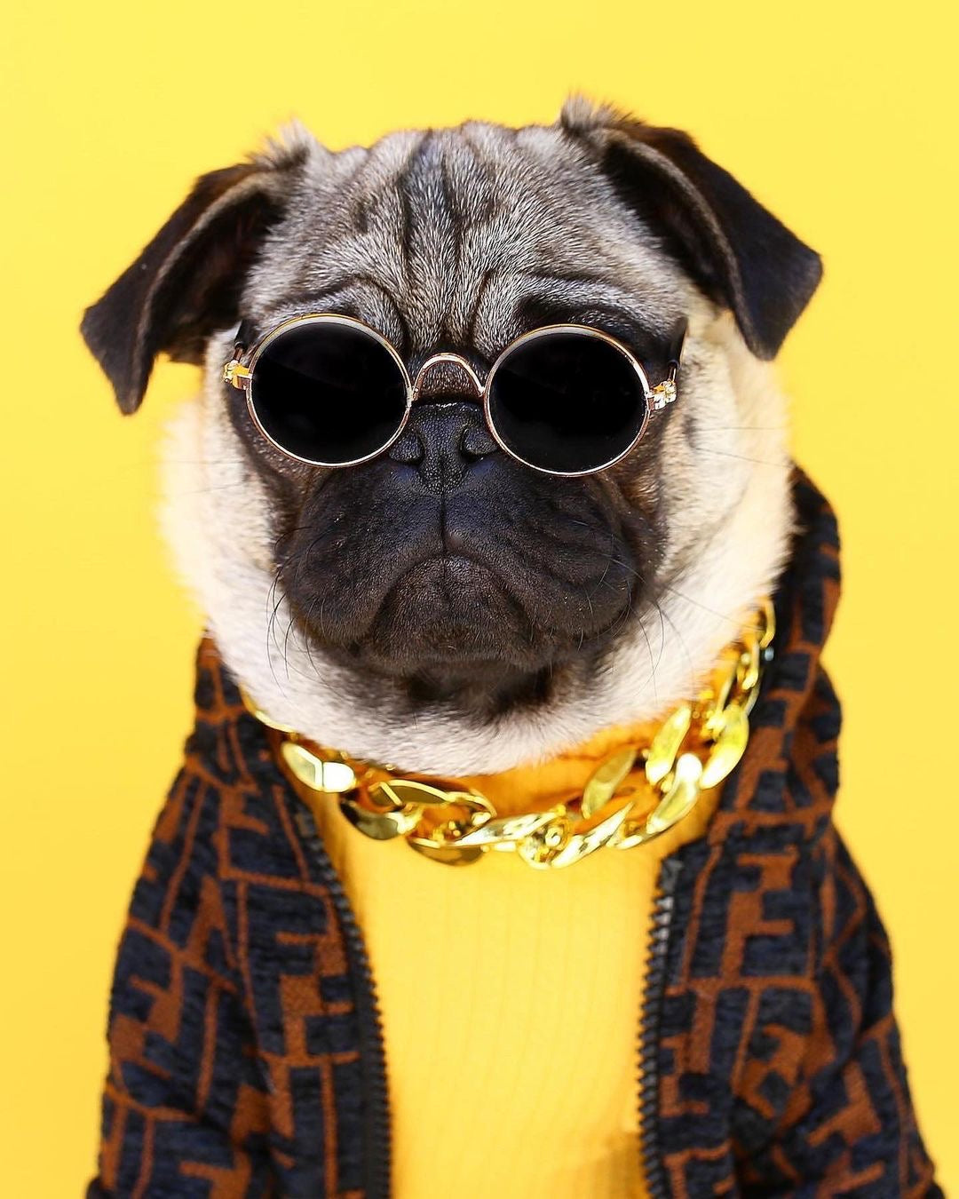 image_5fd49cce-c2d6-4aa4-88ab-034c658088c6