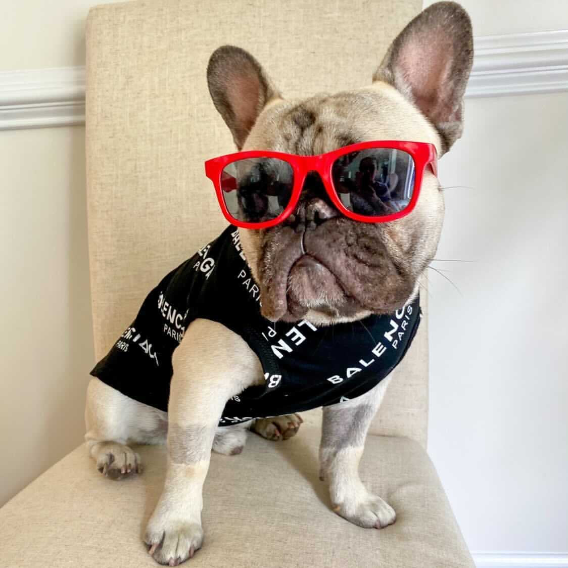 image_6665e19c-f1ef-422f-bed1-bc535041ef49