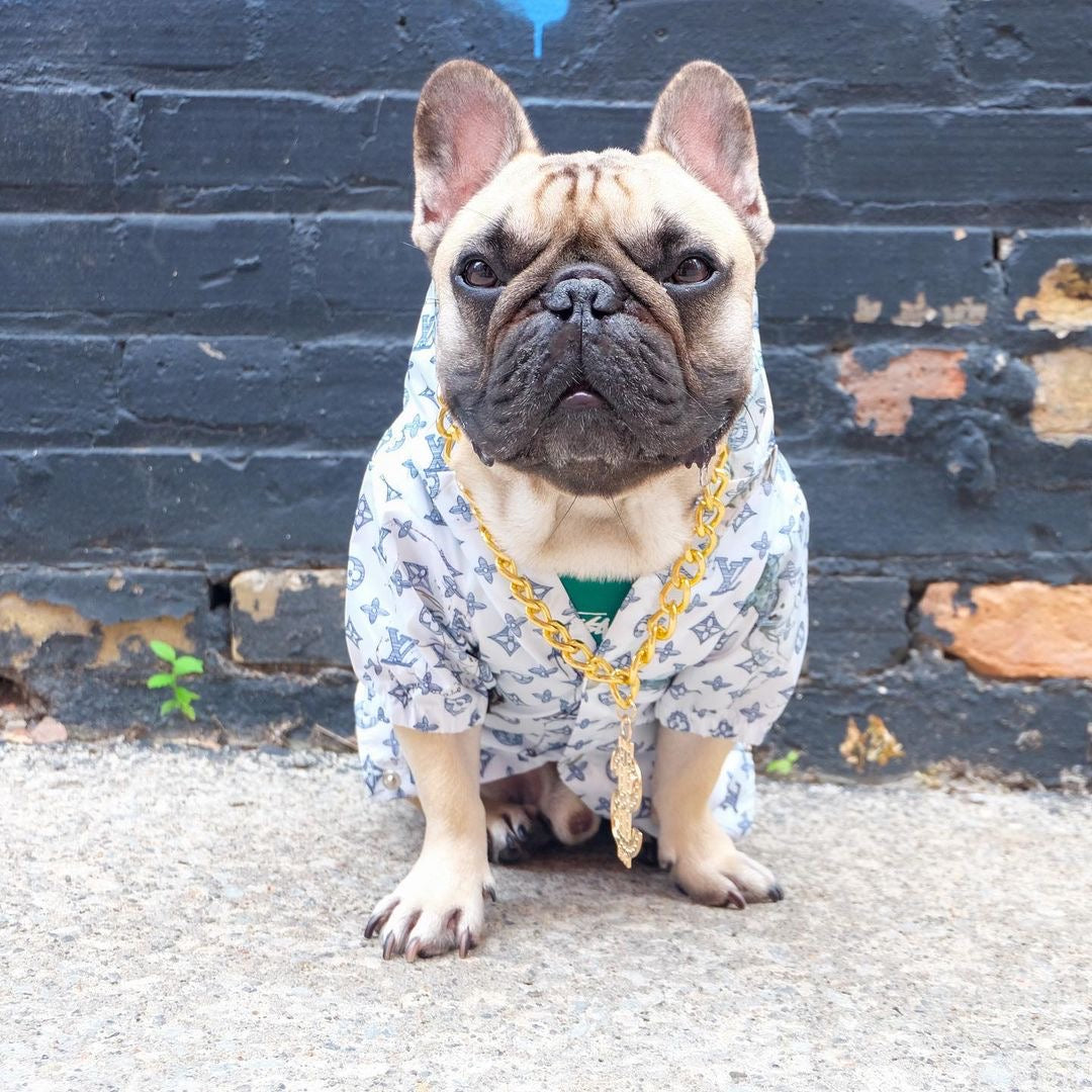 image_6c7a3a30-c6e5-43a1-b369-4985f88c20bb