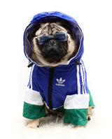 image_7842baab-e06c-4338-a550-a5c0c0329f2a