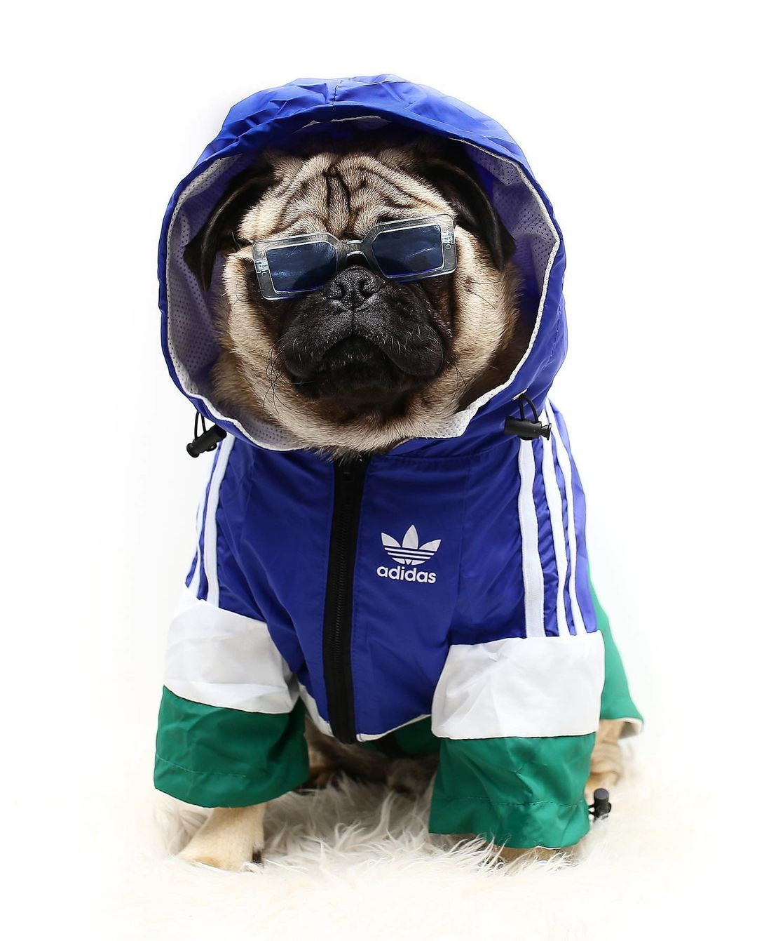 image_7842baab-e06c-4338-a550-a5c0c0329f2a