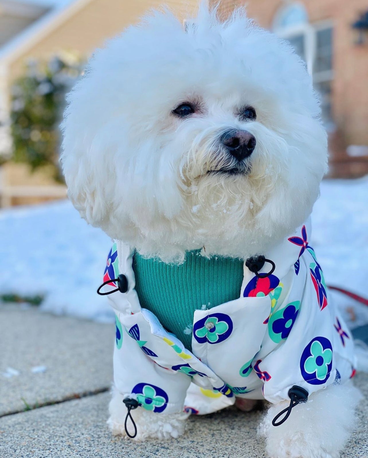 image_81a99c8e-f019-40cb-a60b-7b16f3f3ff51