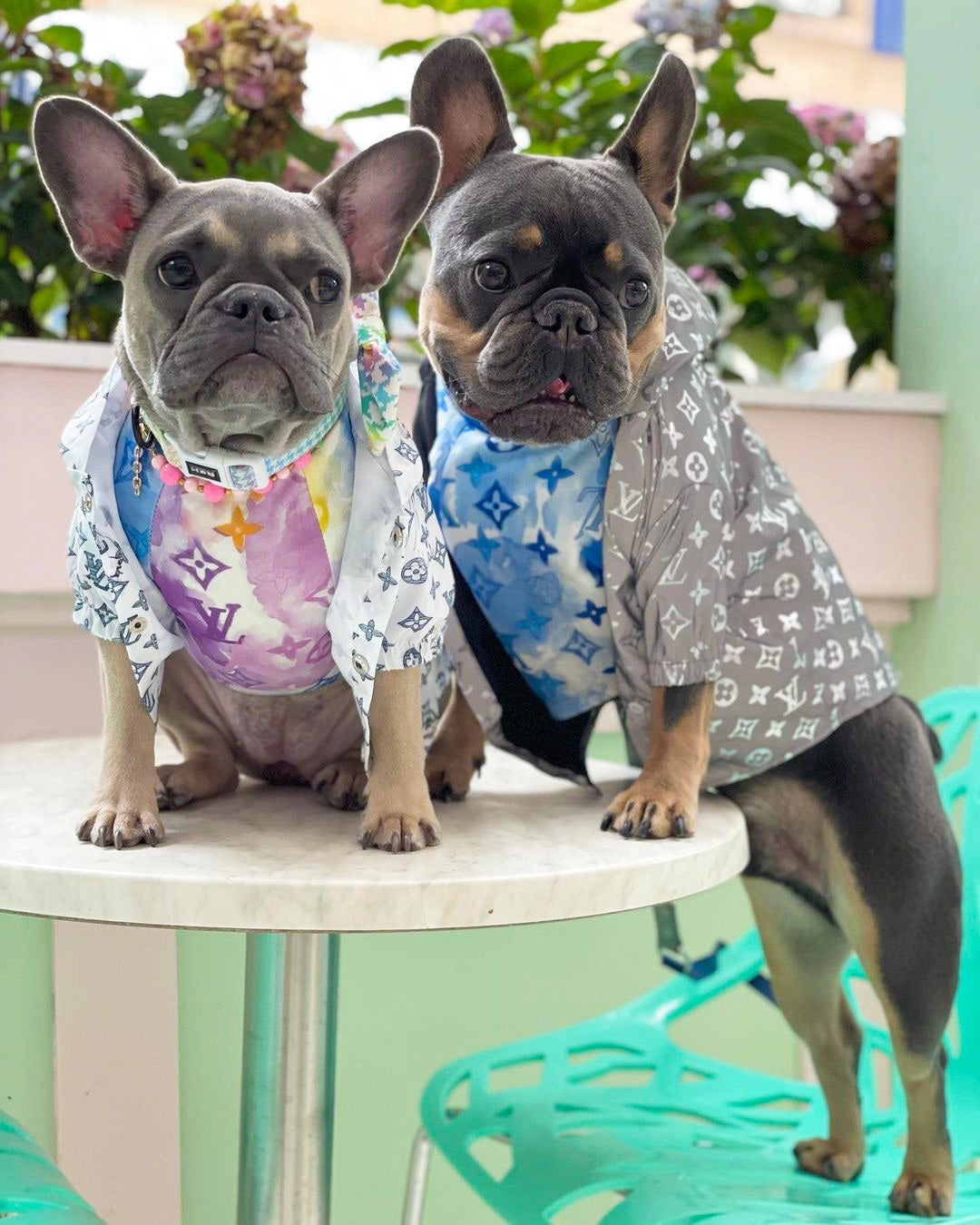 image_896880d0-64ad-4100-b97a-49ba66478756