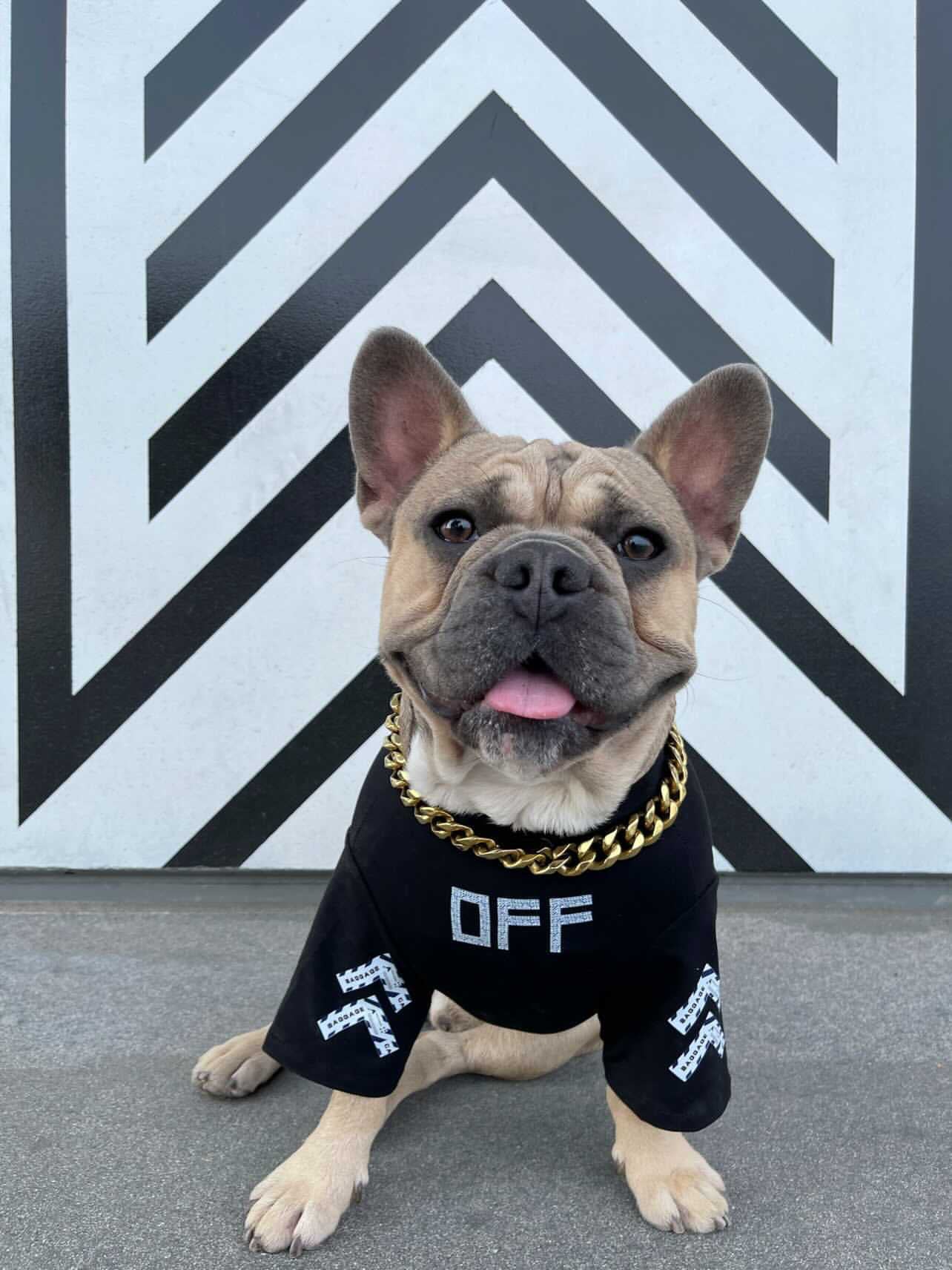 image_8bf10f3f-8878-477a-bf1f-d8d49bfcaa31