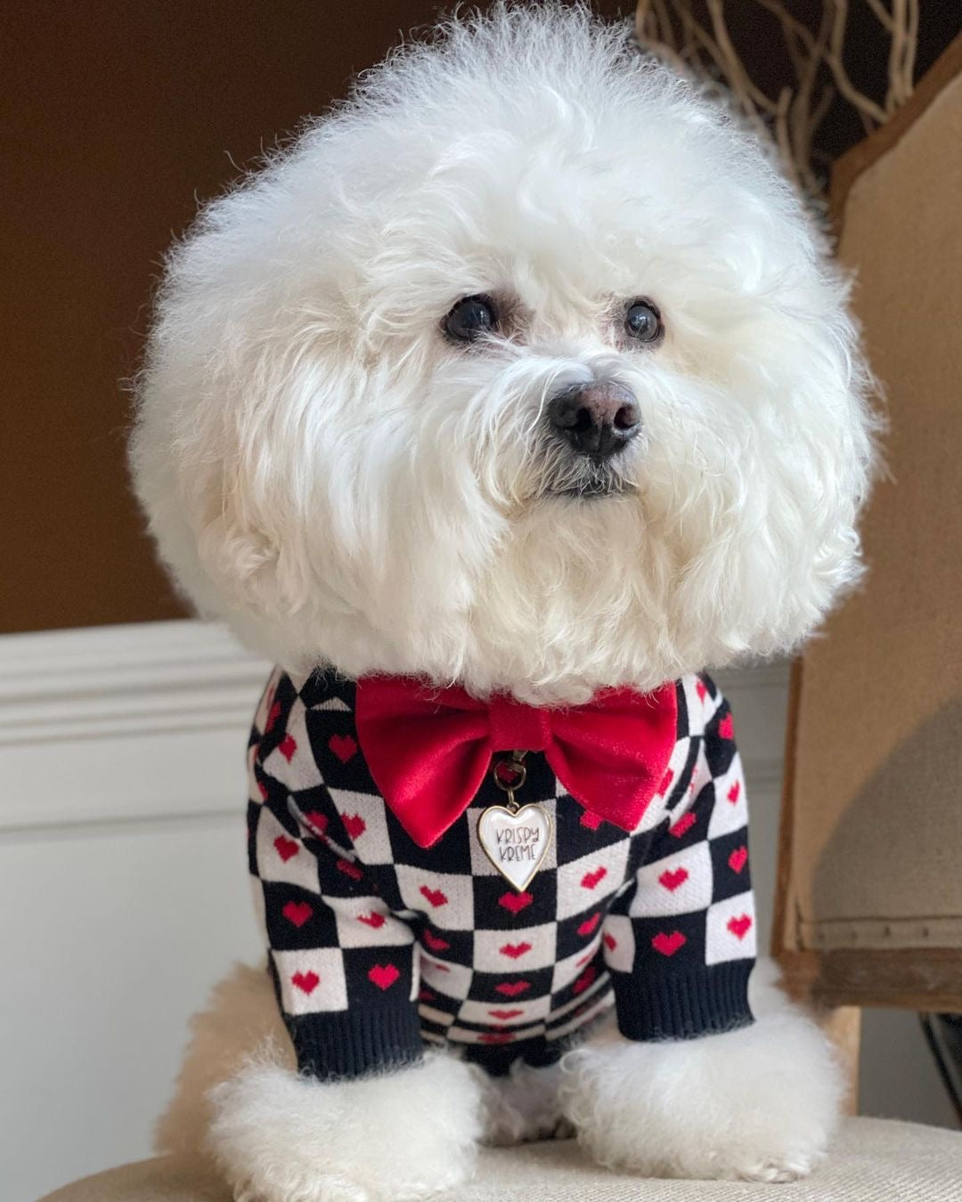 image_a2962d92-8b13-4763-a368-5552f0cad802