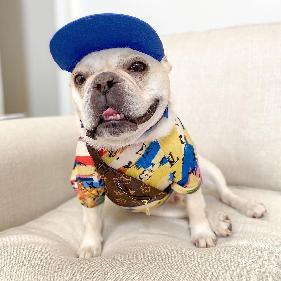 image_a4d4c1c6-059c-4f3c-9f77-058de6d7bf8e