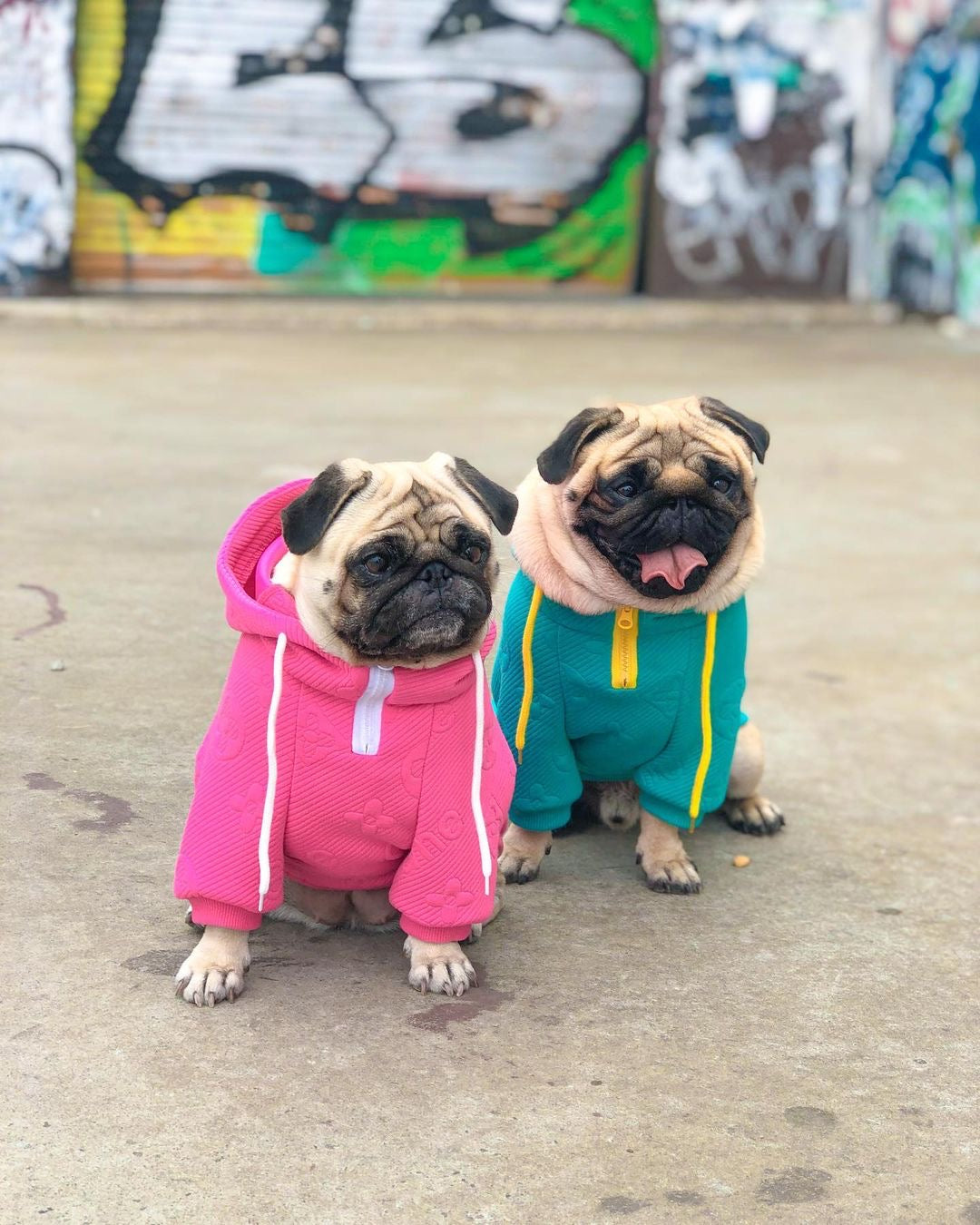 image_aed58f13-90c0-471a-aba4-572773a62a60