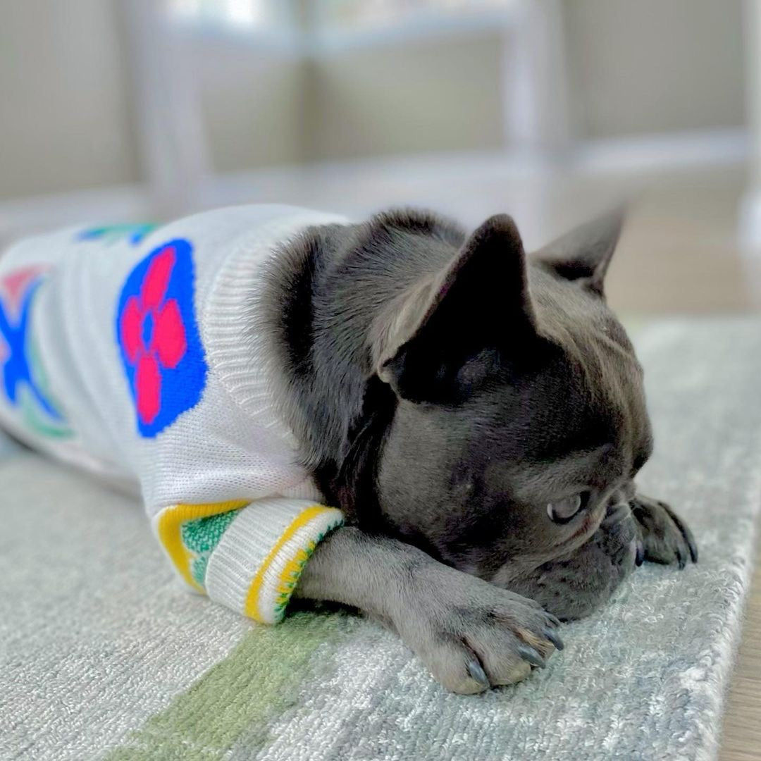 image_b2285986-d459-42a2-8b29-d7ce33d8ee50