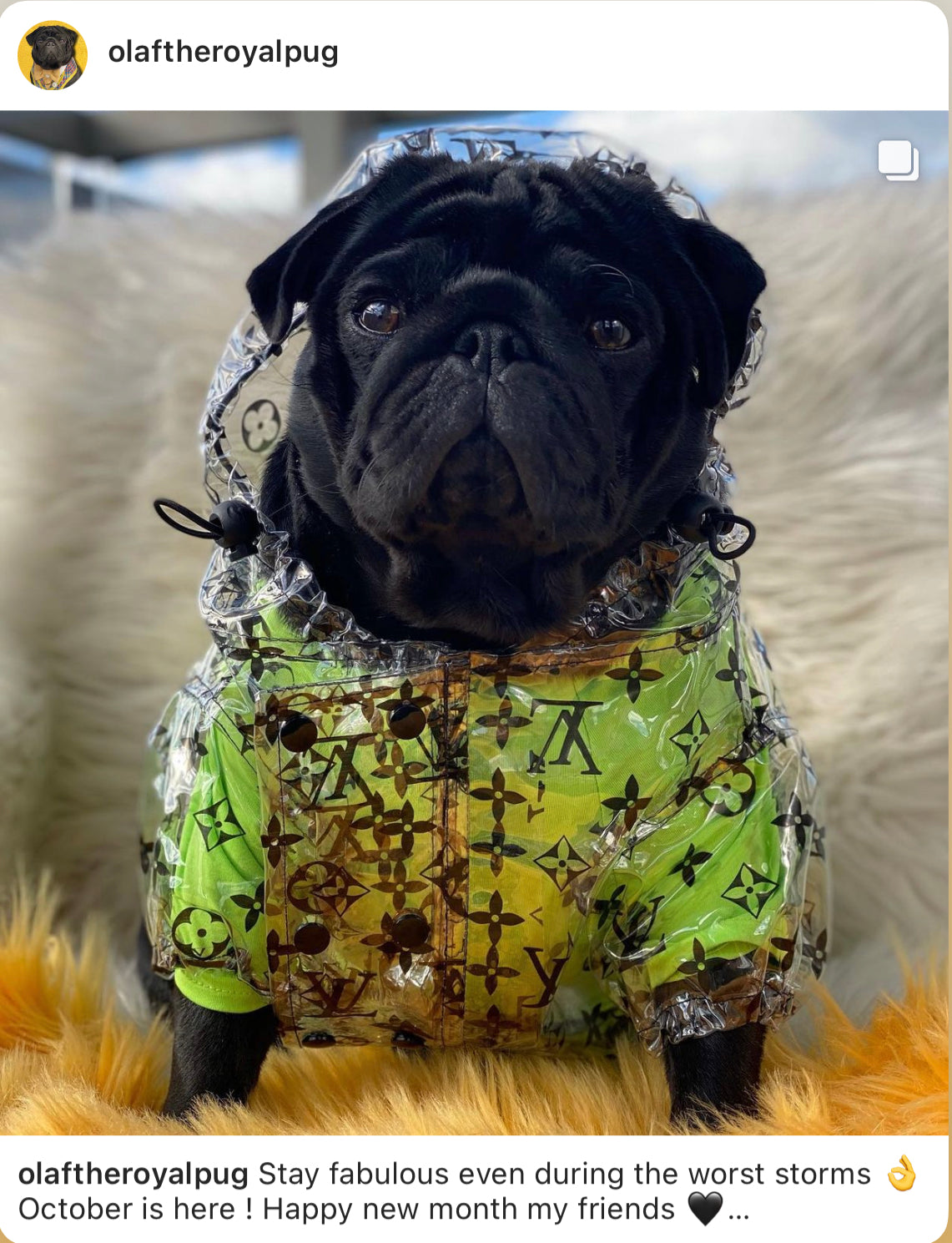 image_b659d3ca-7ab0-49a9-a642-0512614843cf