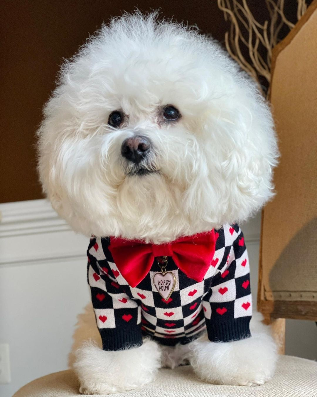 White fluffy dog wearing checkered Dogior heart sweater with red bow accessory