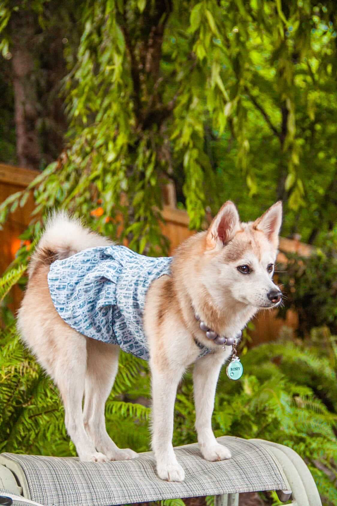 image_bc69a23a-c901-4df0-99ed-6048f4a64f4e