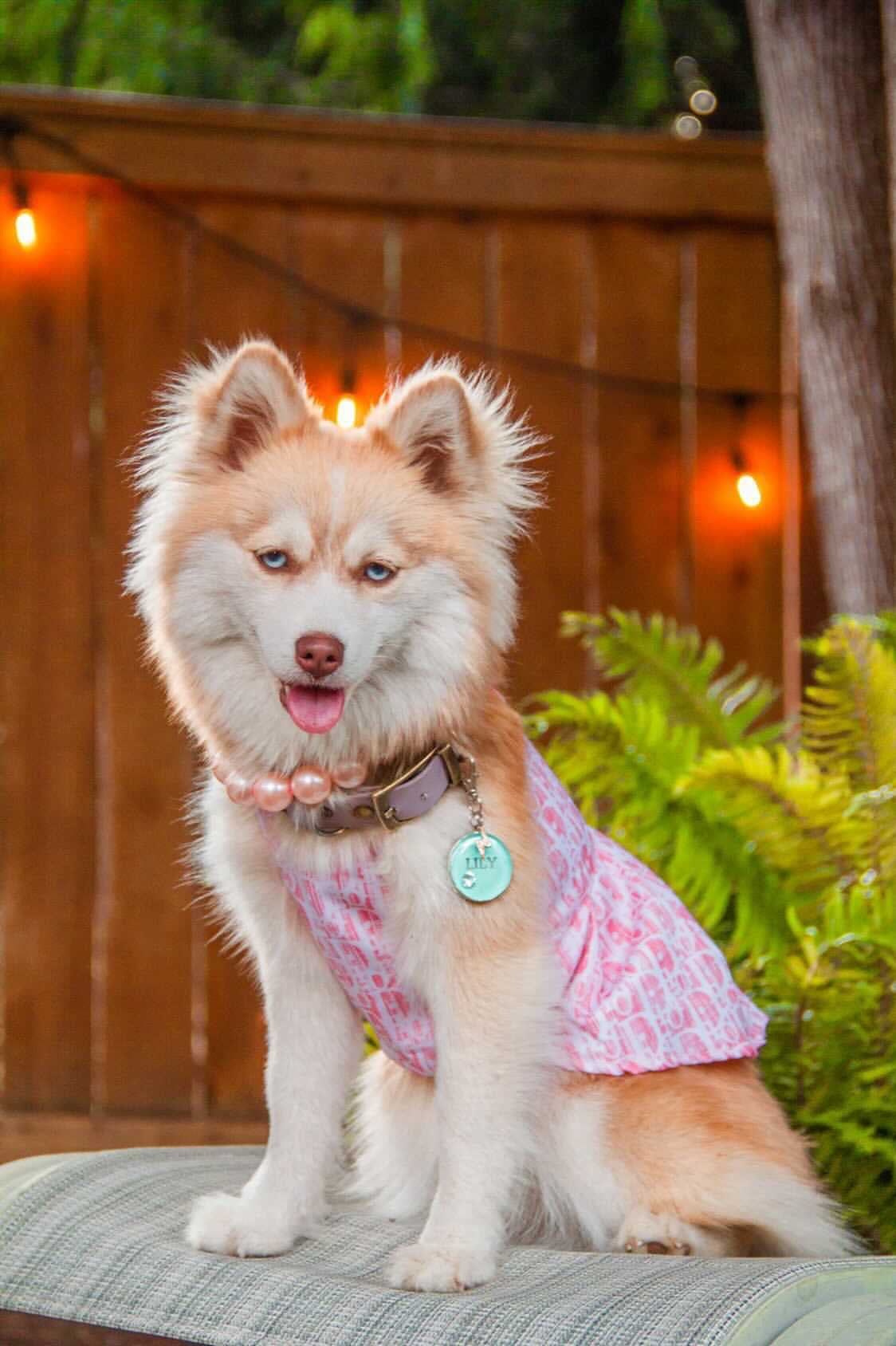 image_bd9c2c5f-a2d1-4f06-b5fd-464b17428ba5