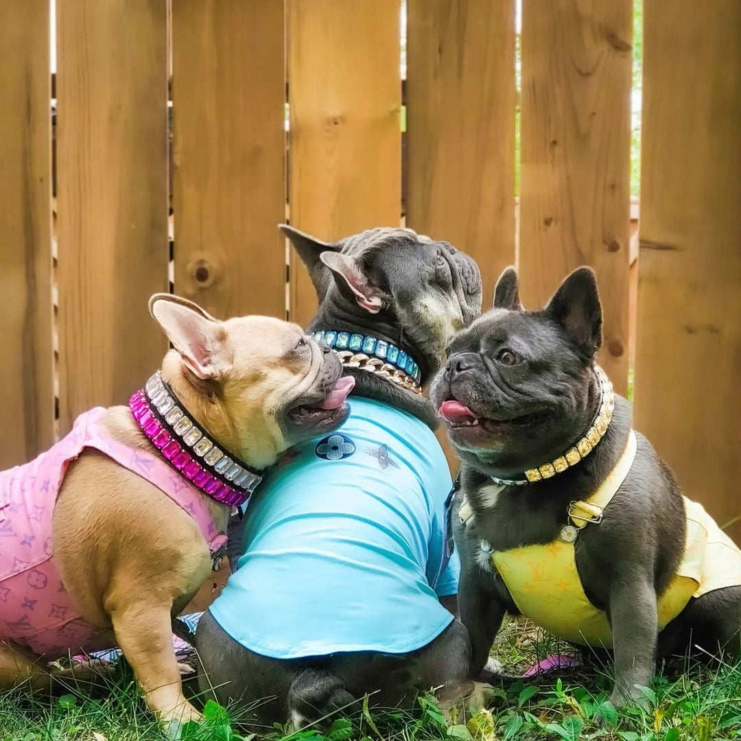 image_c0ad5d8a-b8cc-4320-aeab-489925eb0a13