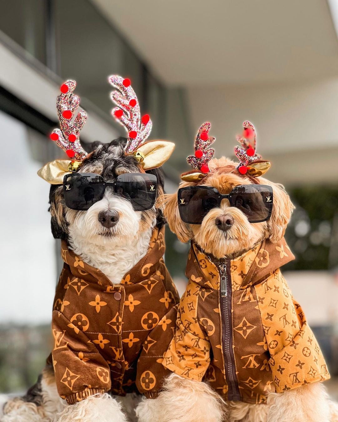 image_c4f593f2-da2d-4e4d-9367-df17ce9020a1