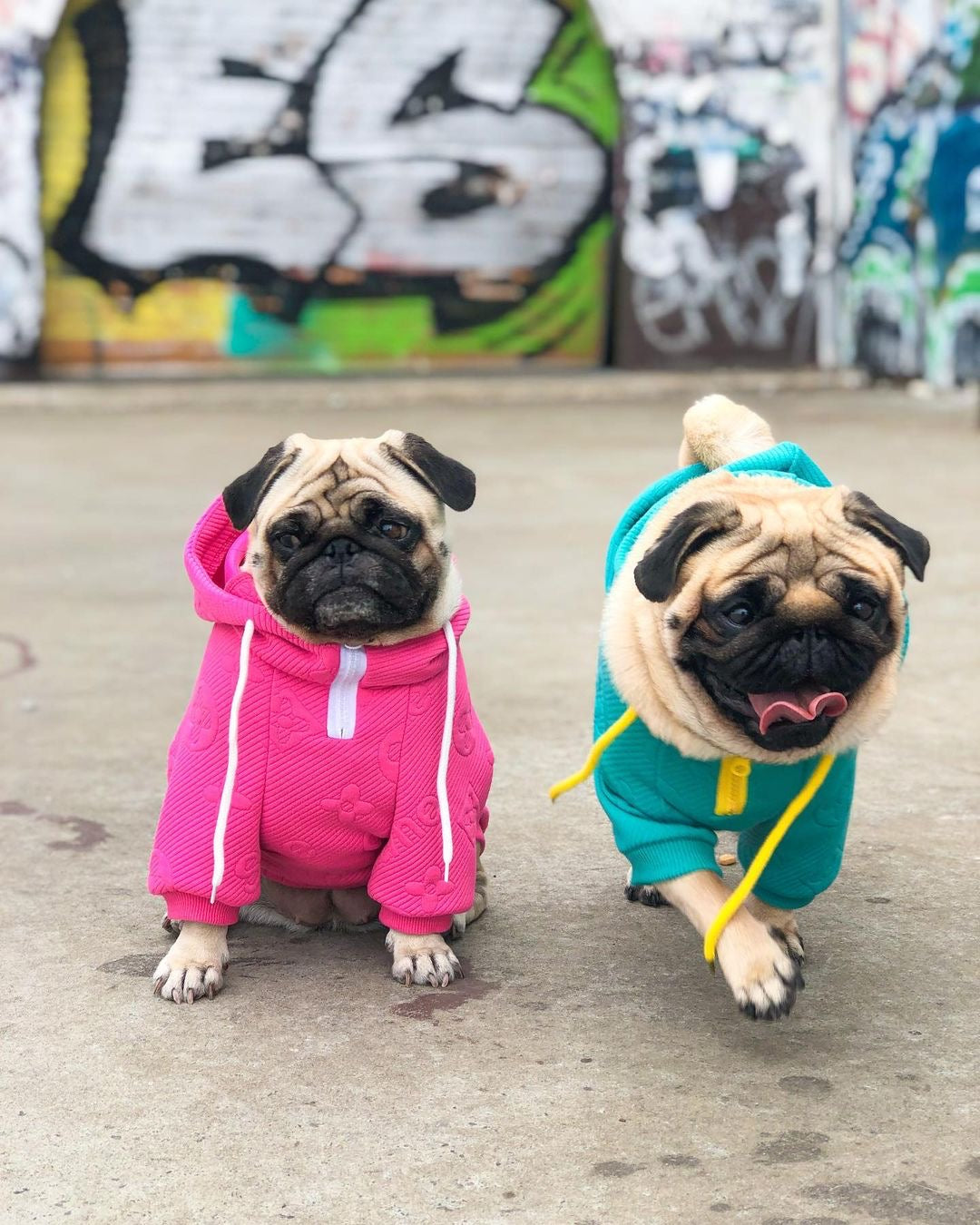 image_cb409e6e-ca28-4d87-b08e-cff320f199f8