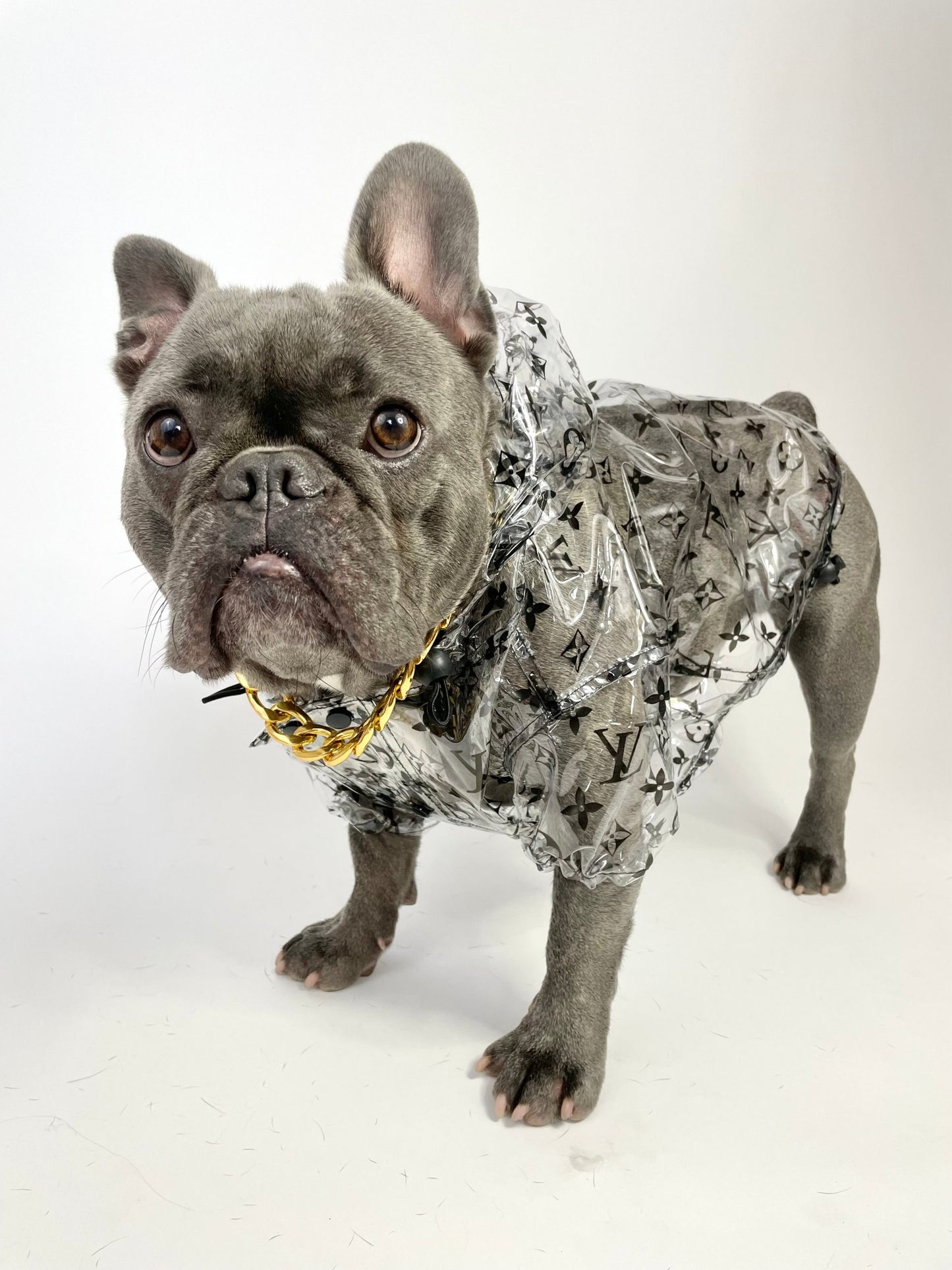 image_cdd541ea-c071-4547-8e6b-618247129cf2