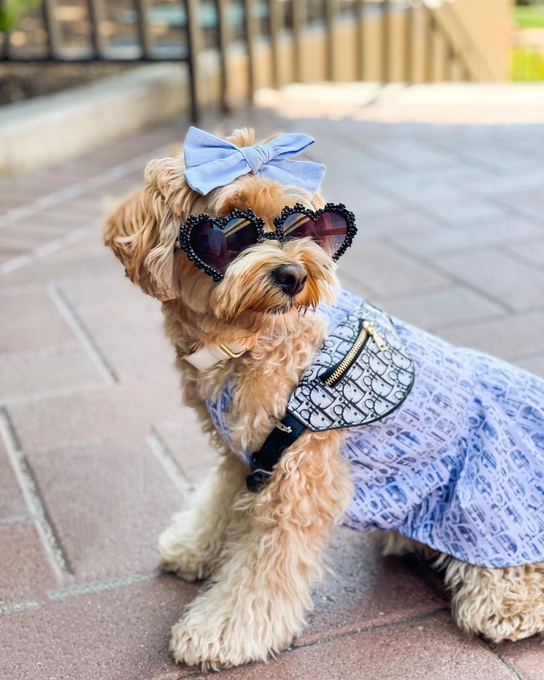 image_d5918ff6-98e6-4b9c-bac0-eb071e56b8dd