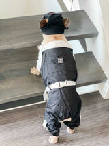 image_d6e4b896-bd39-4d5c-9e6e-aa093171c355