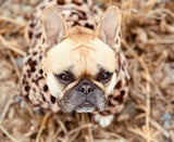 image_debe7d98-7984-4184-a18a-838ade9d7414