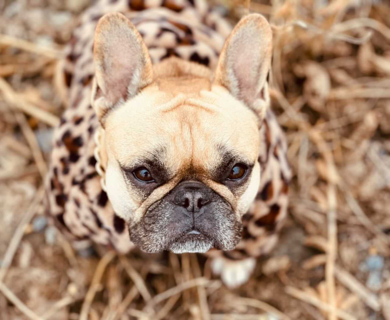 image_debe7d98-7984-4184-a18a-838ade9d7414