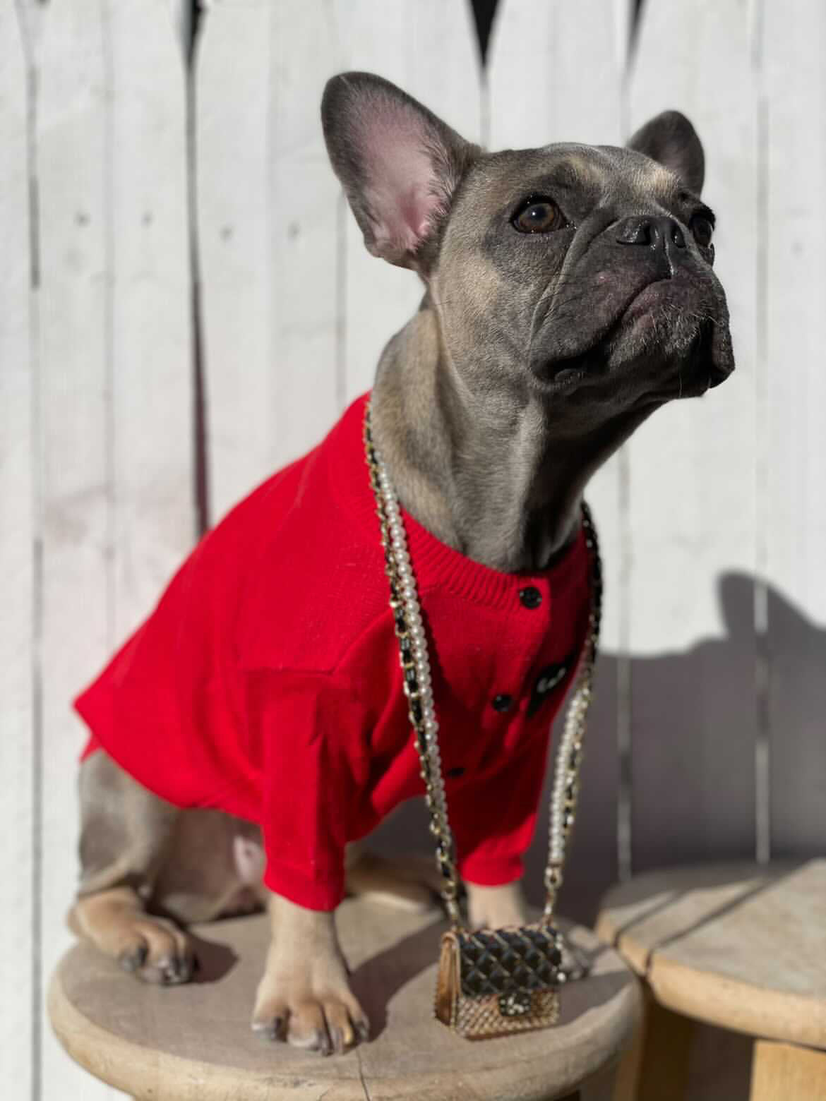 image_e091c462-fbed-497a-97d4-a93ef48d192f