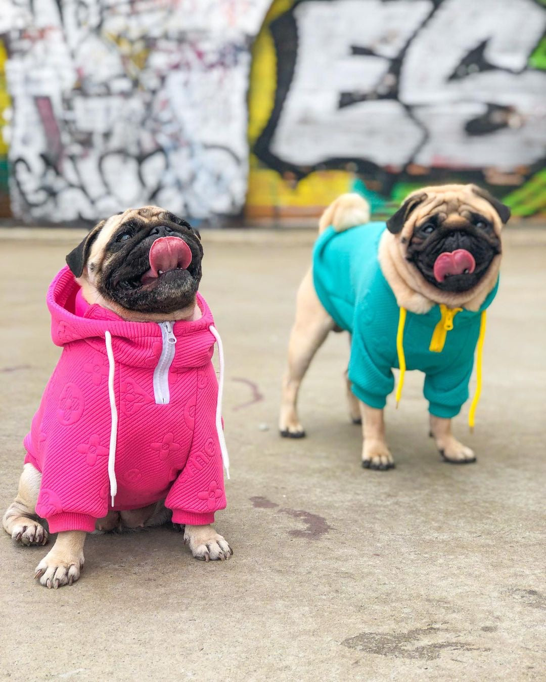 image_ef8268db-47d6-4ce8-aabb-d52f3d58aff0