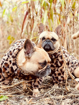 image_f1ca017b-b3cf-4fa1-a824-7e8604cc3df6