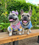 image_fd513a46-e654-49ce-972d-109024e071e7