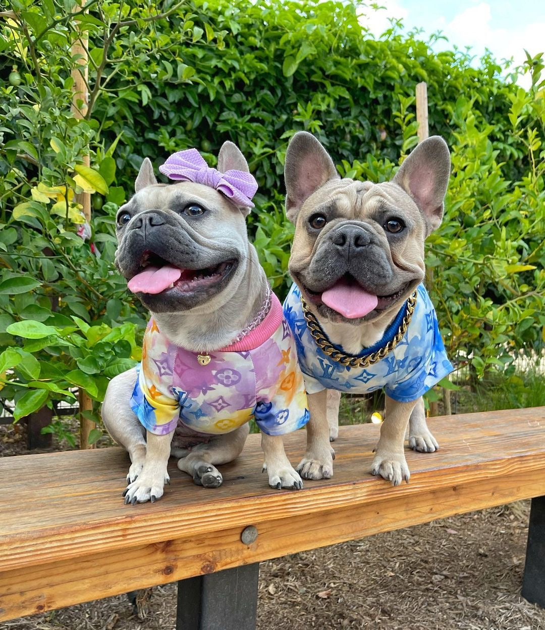 image_fd513a46-e654-49ce-972d-109024e071e7