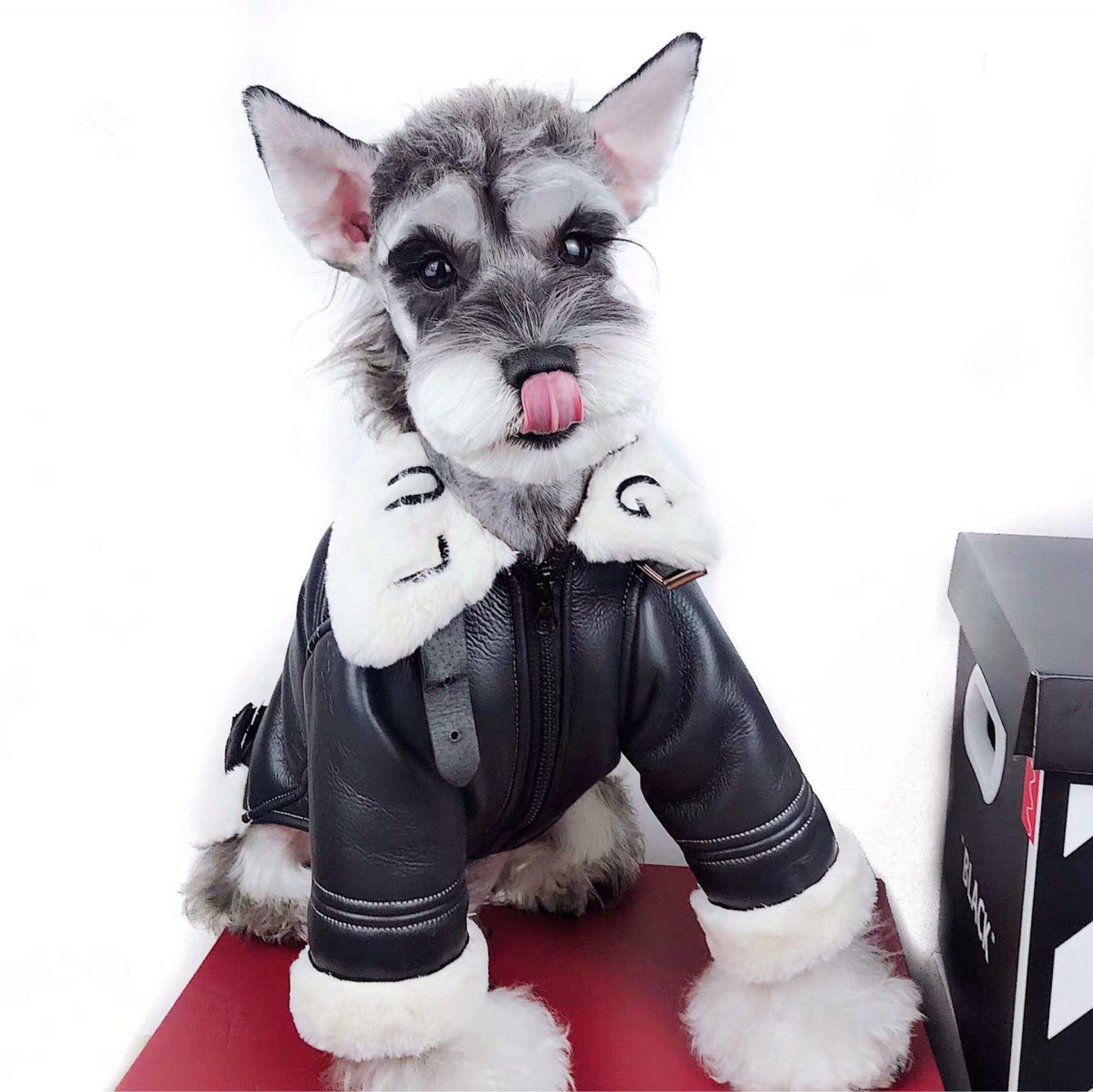 Lucky Dog Black Shearling Jacket Hype Pups designer dog clothes.