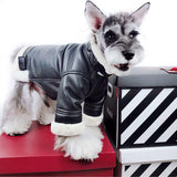 Lucky Dog Black Shearling Jacket Hype Pups designer dog clothes.