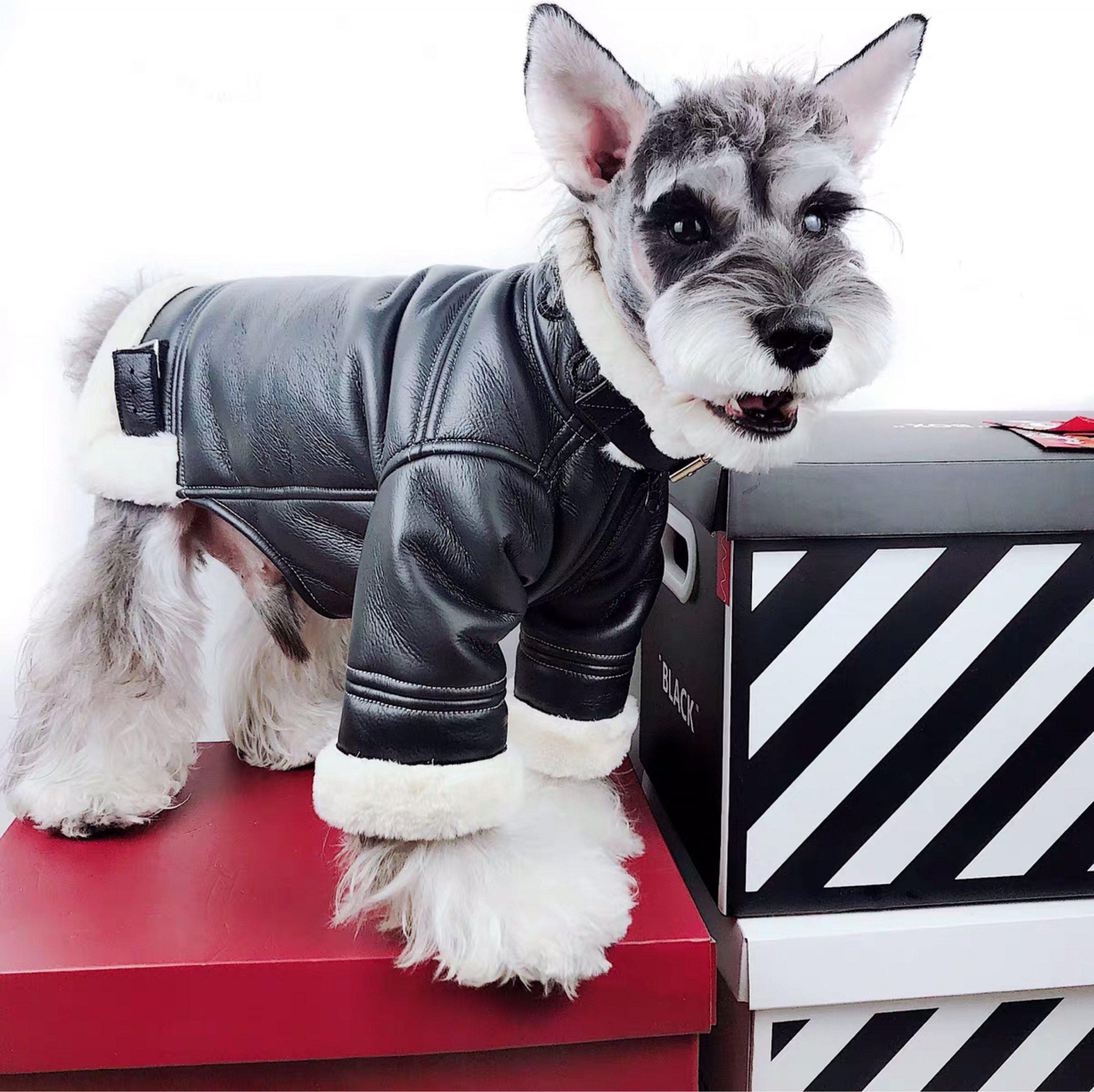 Lucky Dog Black Shearling Jacket Hype Pups designer dog clothes.